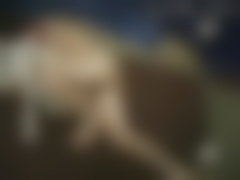 Horny bestiality brazenly fucked a ram while he was resting